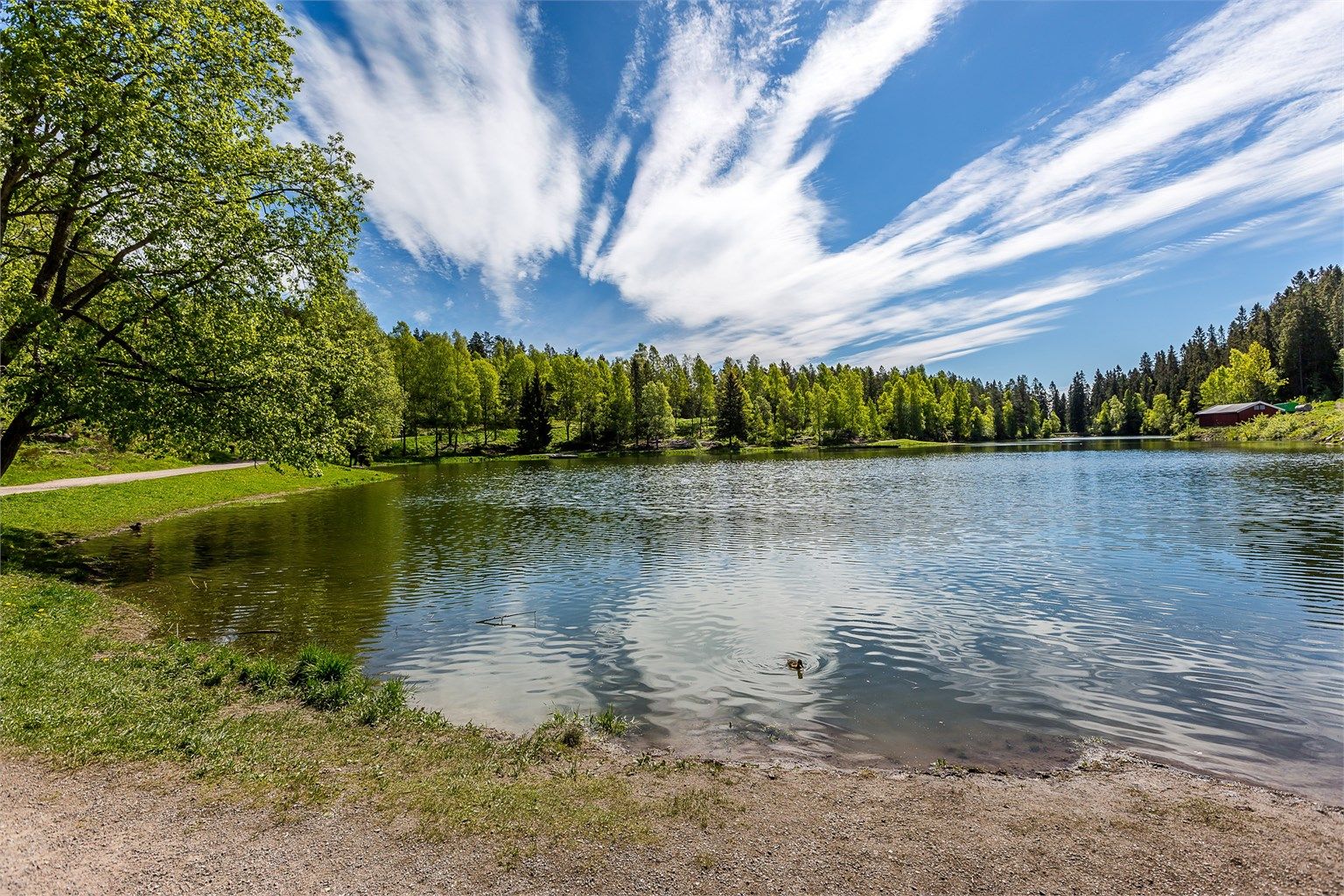 Trollvann