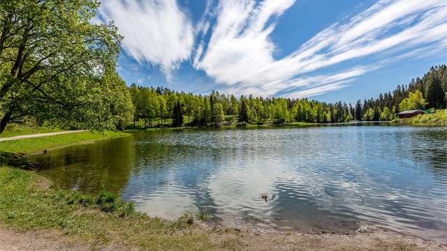 Trollvann