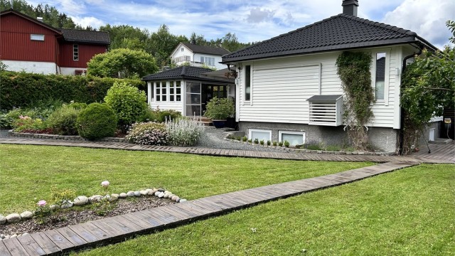 Selgers sommerbilde