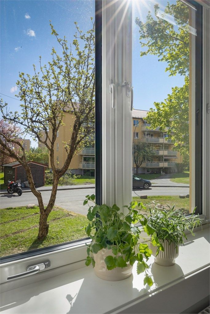 Flott utsyn fra kjøkkenvinduet 