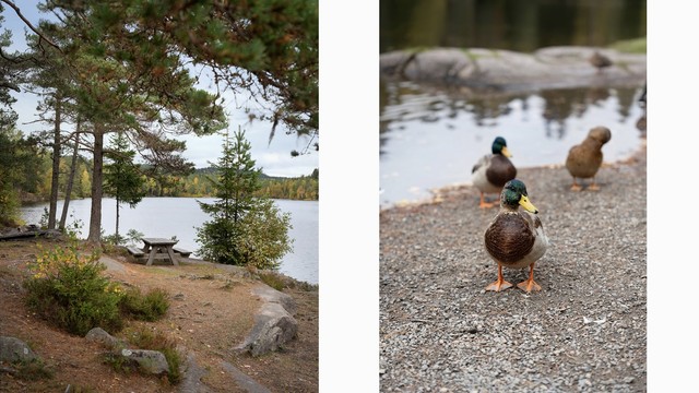 Lillomarka har et variert nettverk av turstier og idylliske rasteplasser, og stiene tar deg videre til populære mål som Steinbruvann, Lilloseter og utsiktspunktet på Røverkollen.