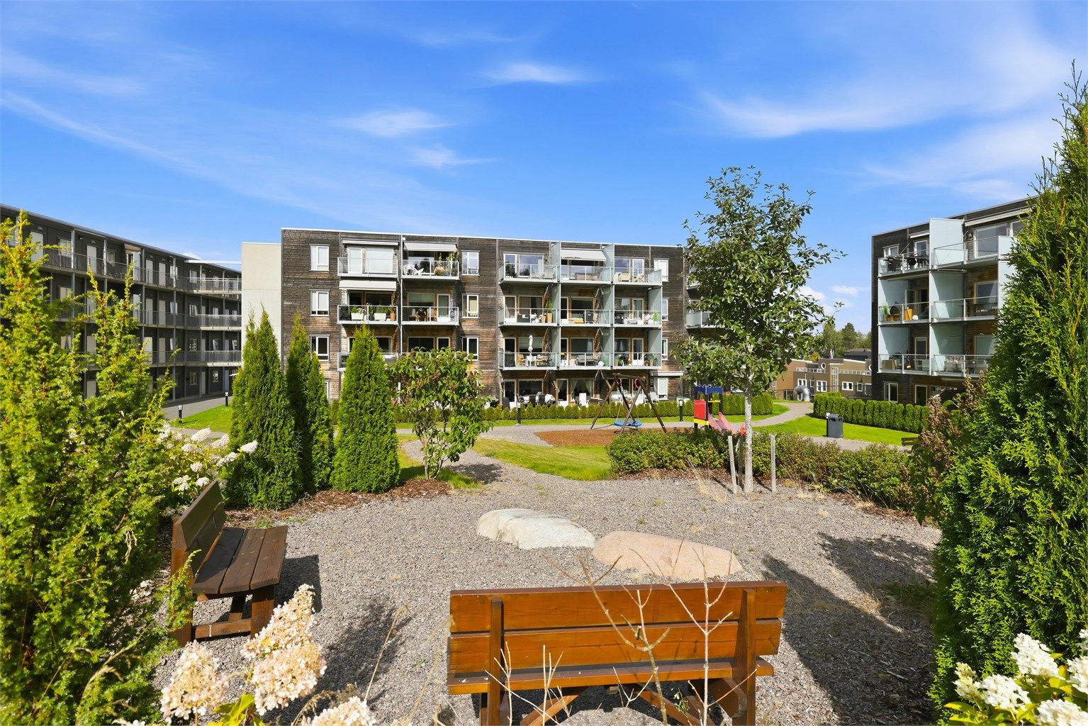 Felles uteplass med hovedsakelig vintergrønn beplantning og utsyn til blokkene