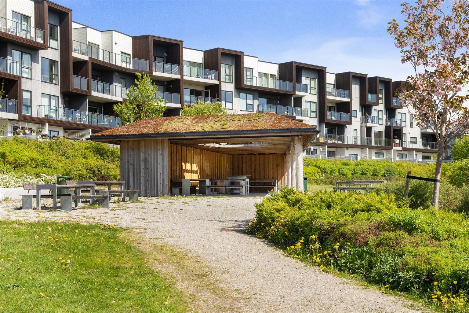 Felles overbygd samlingsplass med bord og benker i parkområdet.