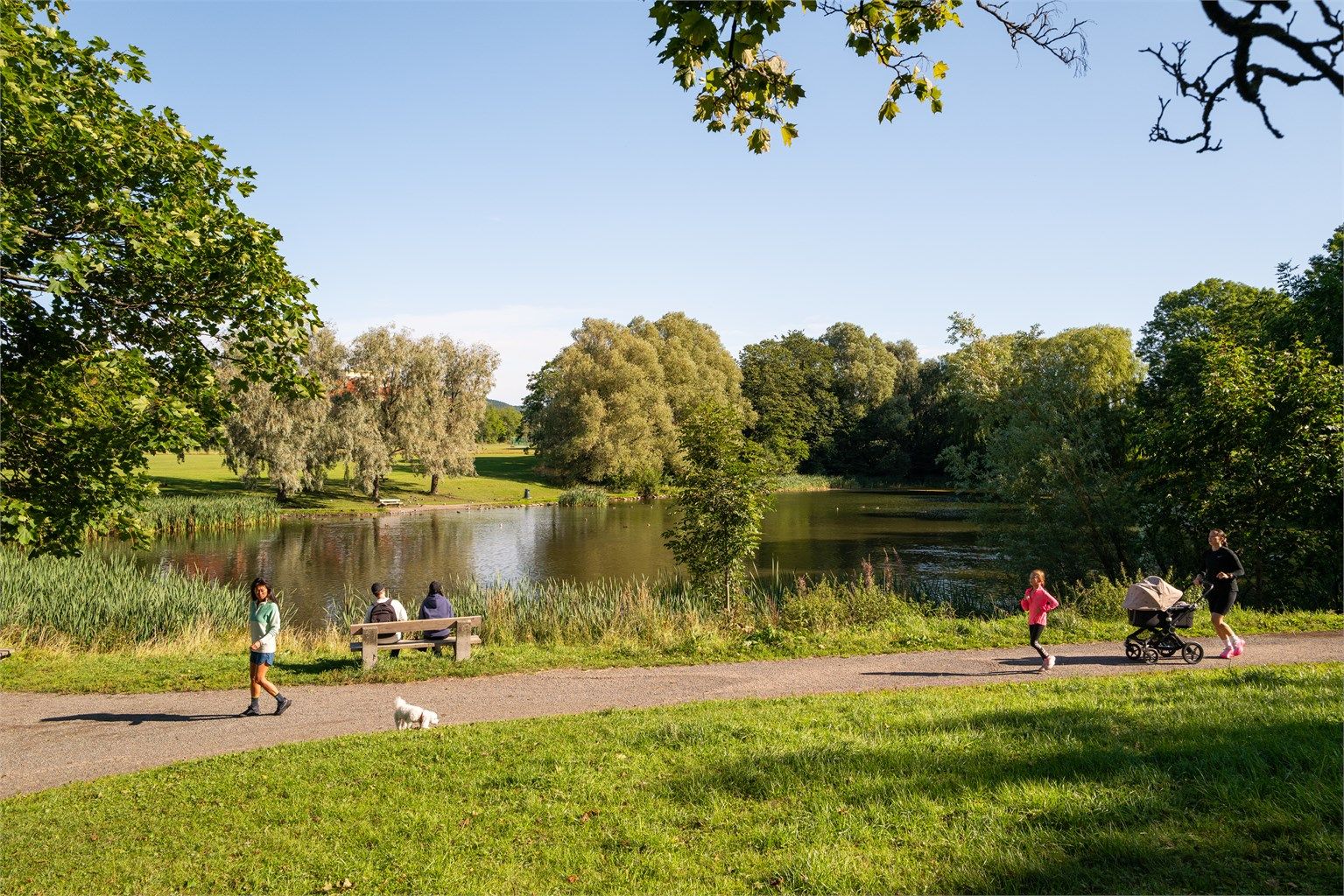 Store grønne lunger omkranser Valle, perfekt for rekreasjon og fritidsaktiviteter.