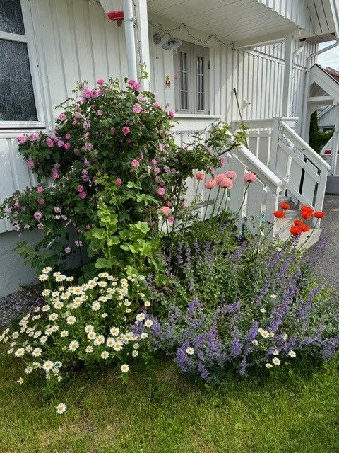 Beplanting - Selgers bilde.