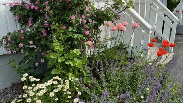 Beplanting - Selgers bilde.