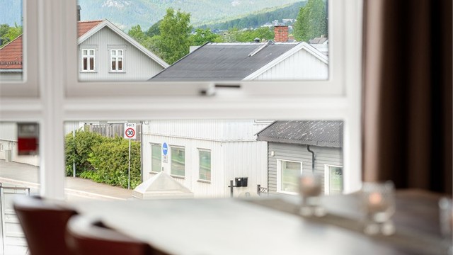 Stue - Utsiktsbilde.