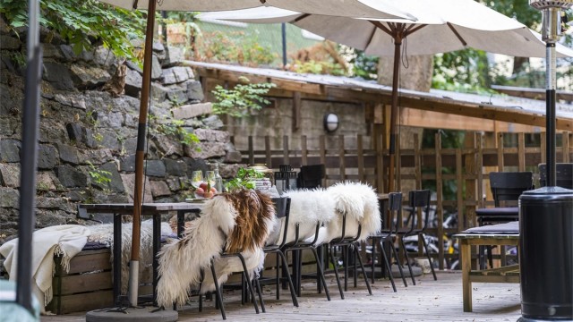 Hyggelig stemning i bakgården.
