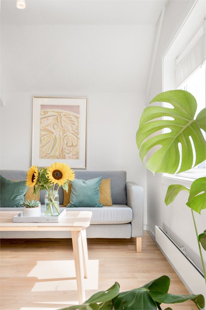 Lys og hyggelig stue med gode lysforhold.