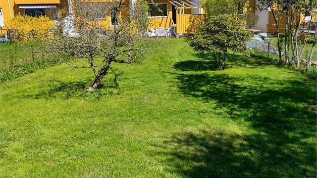 Boligen har en stor, flat hage, med gode solforhold