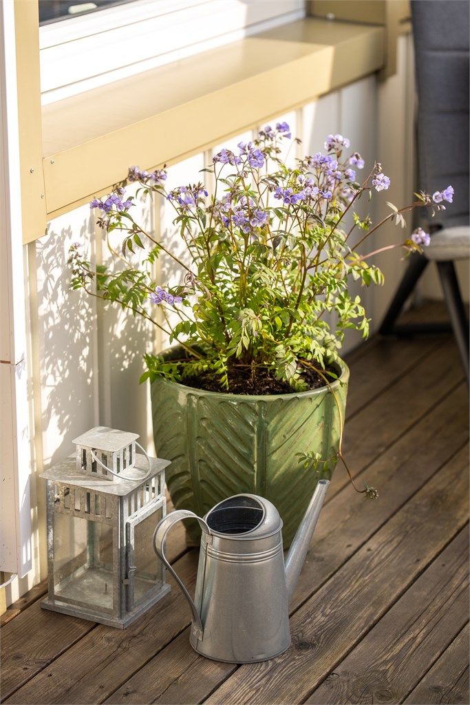 Terrassebord og god plass for utemøbler og planter.
