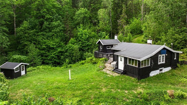 Tomten er omkranset av skog, med utsyn mot de grønne åssidene.