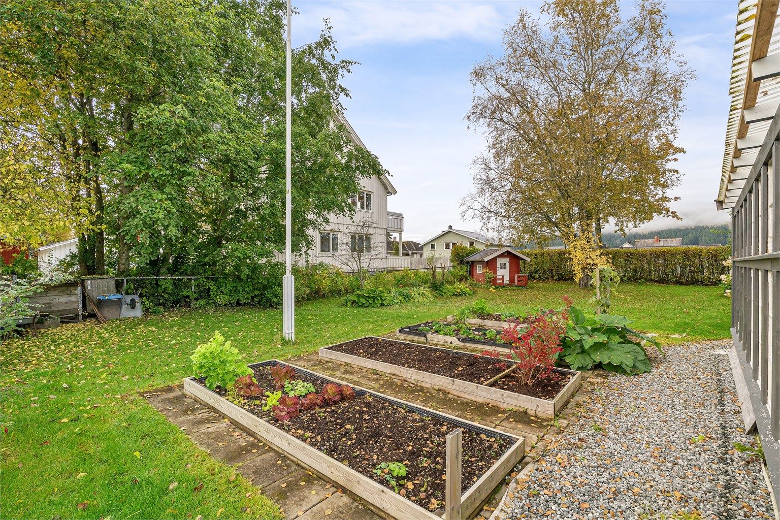 Tilrettelagte dyrkekasser for grønnsaker og urter i hagen.