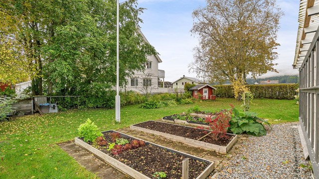 Tilrettelagte dyrkekasser for grønnsaker og urter i hagen.