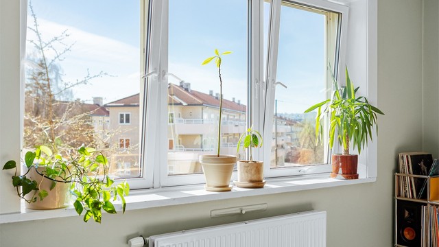 Beliggenheten er sentral, med gangavstand til Sofienbergparken, Grünerløkka og Carl Berner. Trikk og buss er kun tre minutter unna.