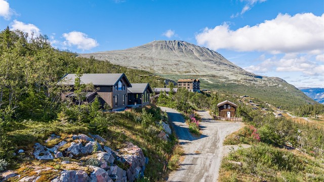 Adkomstvei opp til eiendommen med mektige Gaustatoppen ragende i bakgrunnen.