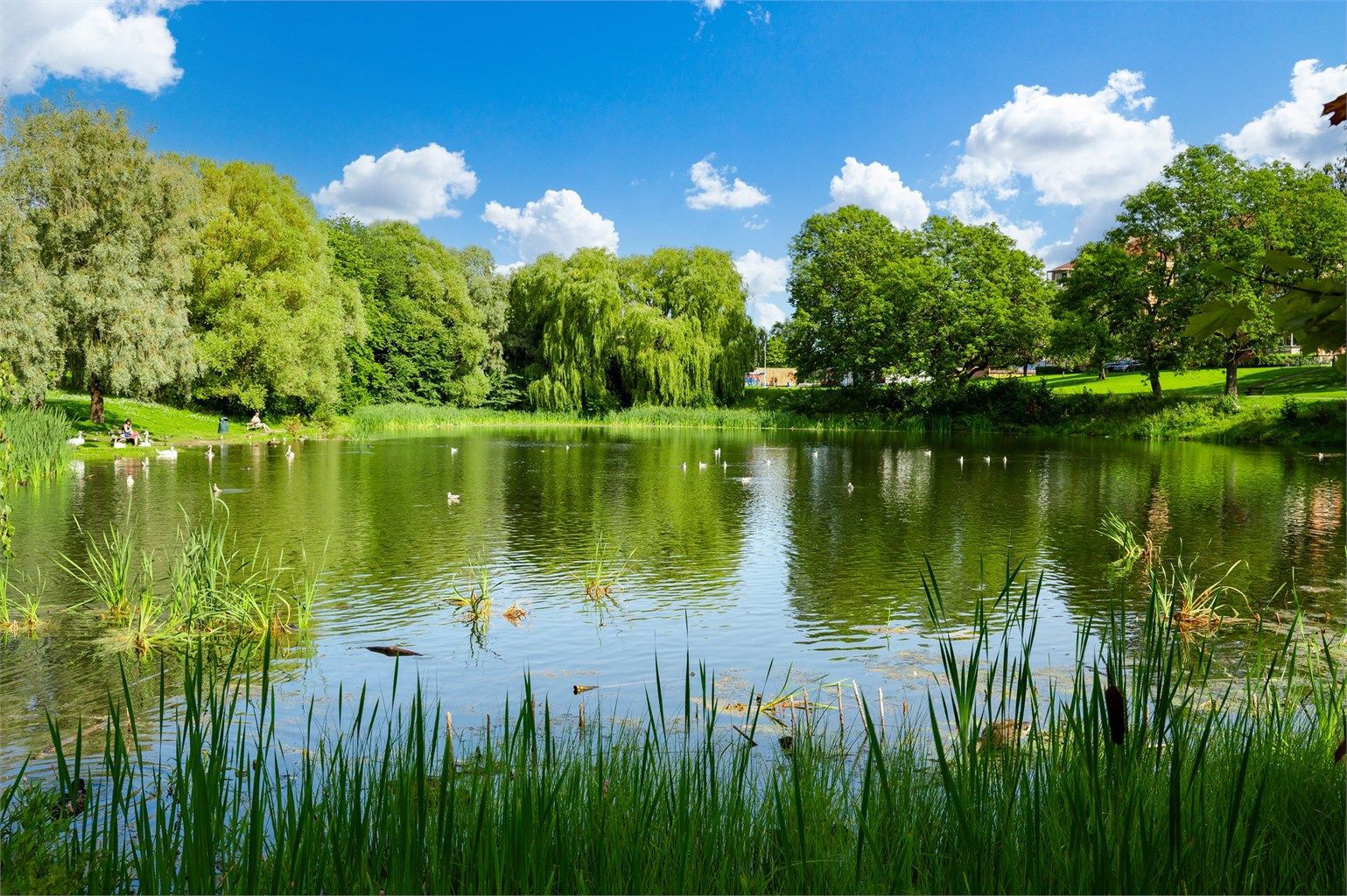 Borettslaget eier 70 mål tomt opparbeidet til park, som inkluderer en idyllisk andedam.
