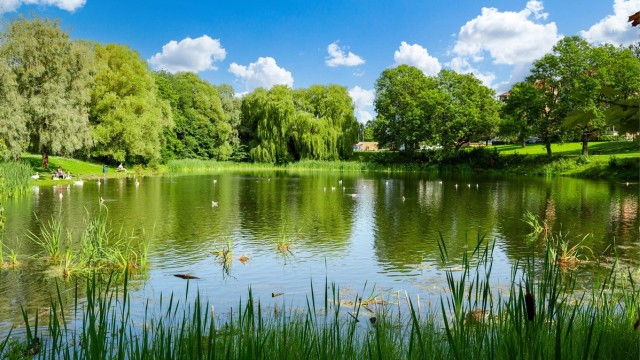 Borettslaget eier 70 mål tomt opparbeidet til park, som inkluderer en idyllisk andedam.