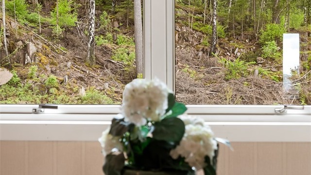 Utsikt fra stuen.
