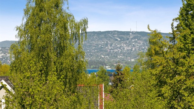 Sjøgløtt til bl.a. Holmenkollen