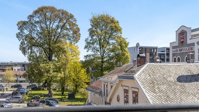 Utsikt fra balkongen/leiligheten.