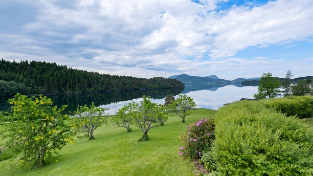 Her kan man nyte rolige dager med utsikt over fjorden og de omkringliggende fjellene
