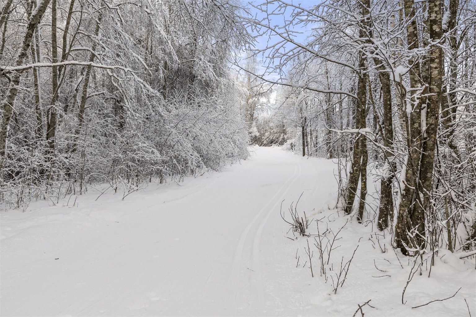 Skiløypa i Østmarka er kun noen meter unna.