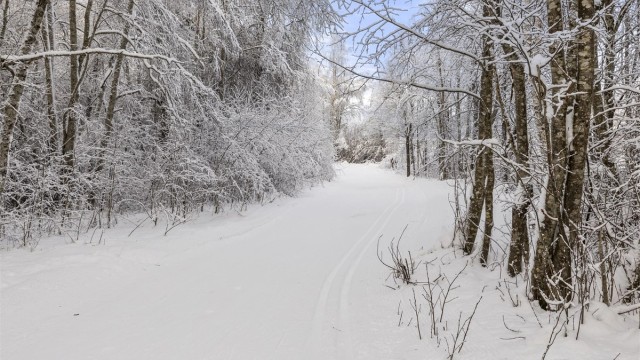 Skiløypa i Østmarka er kun noen meter unna.