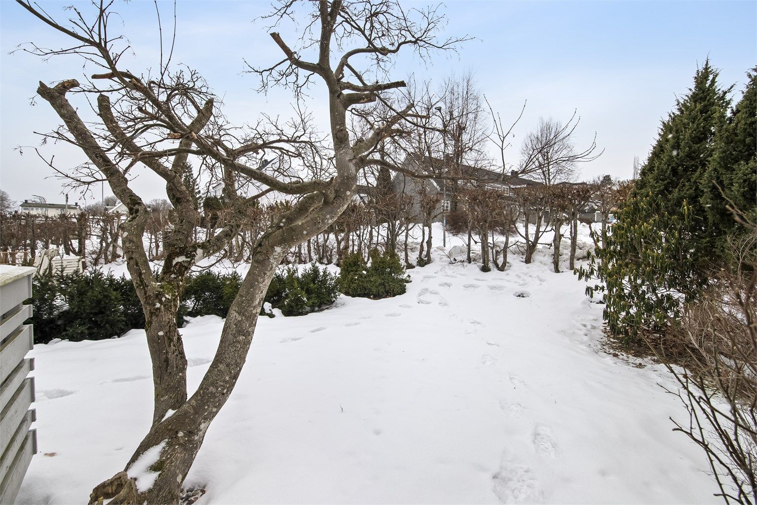 God plass for store og små til lek og morro