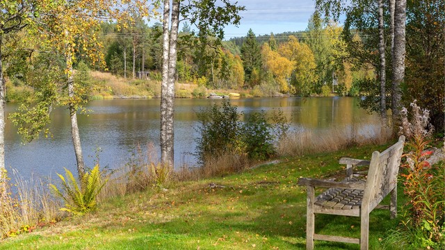 Fredfylt hvileplass på gressplenen like ved vannkanten.