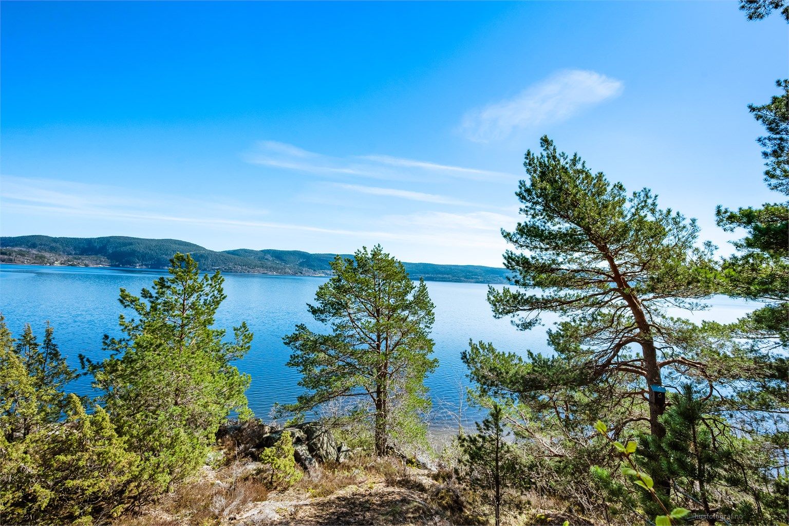 Eiendommen ligger høyt og fritt med en upåklagelig utsikt over Drammensfjorden.