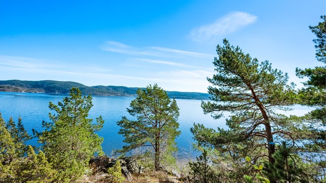 Eiendommen ligger høyt og fritt med en upåklagelig utsikt over Drammensfjorden.