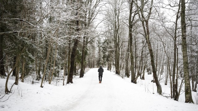 Fra egen dør er det kort vei ut i naturen, med turmuligheter som passer for hele familien.