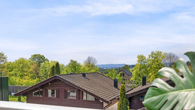 Utsyn over etablert og grønt boligområde.
