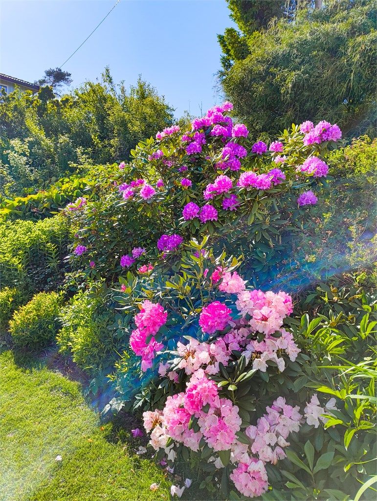 Selgers private bilde