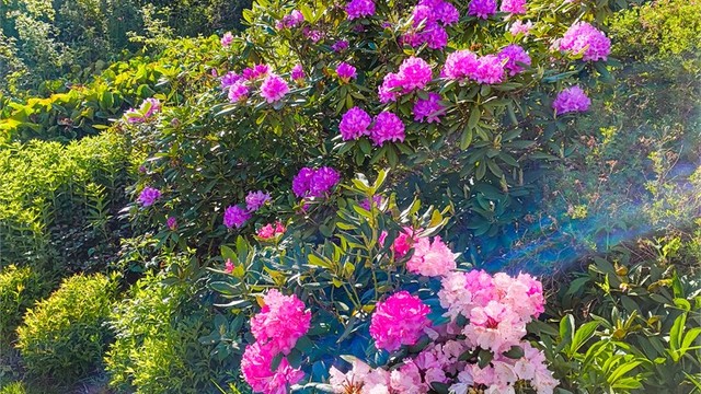 Selgers private bilde