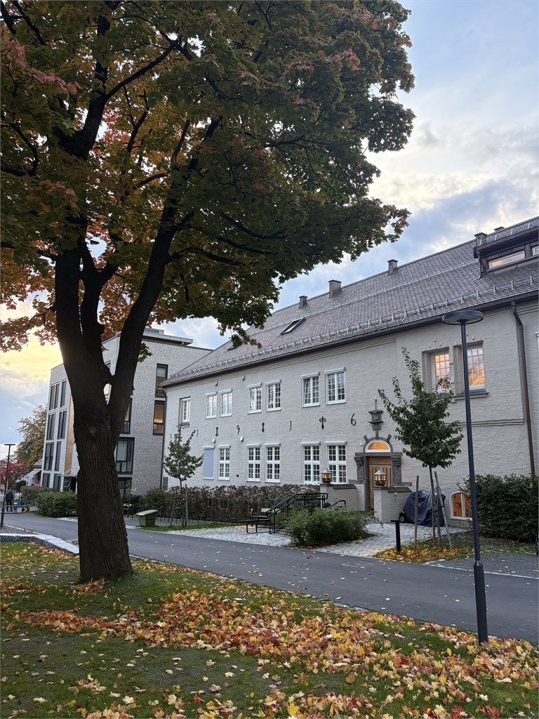 Stemningsbilde høst.