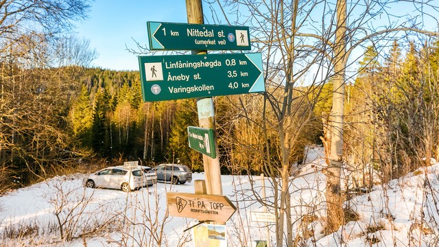 Turløyper