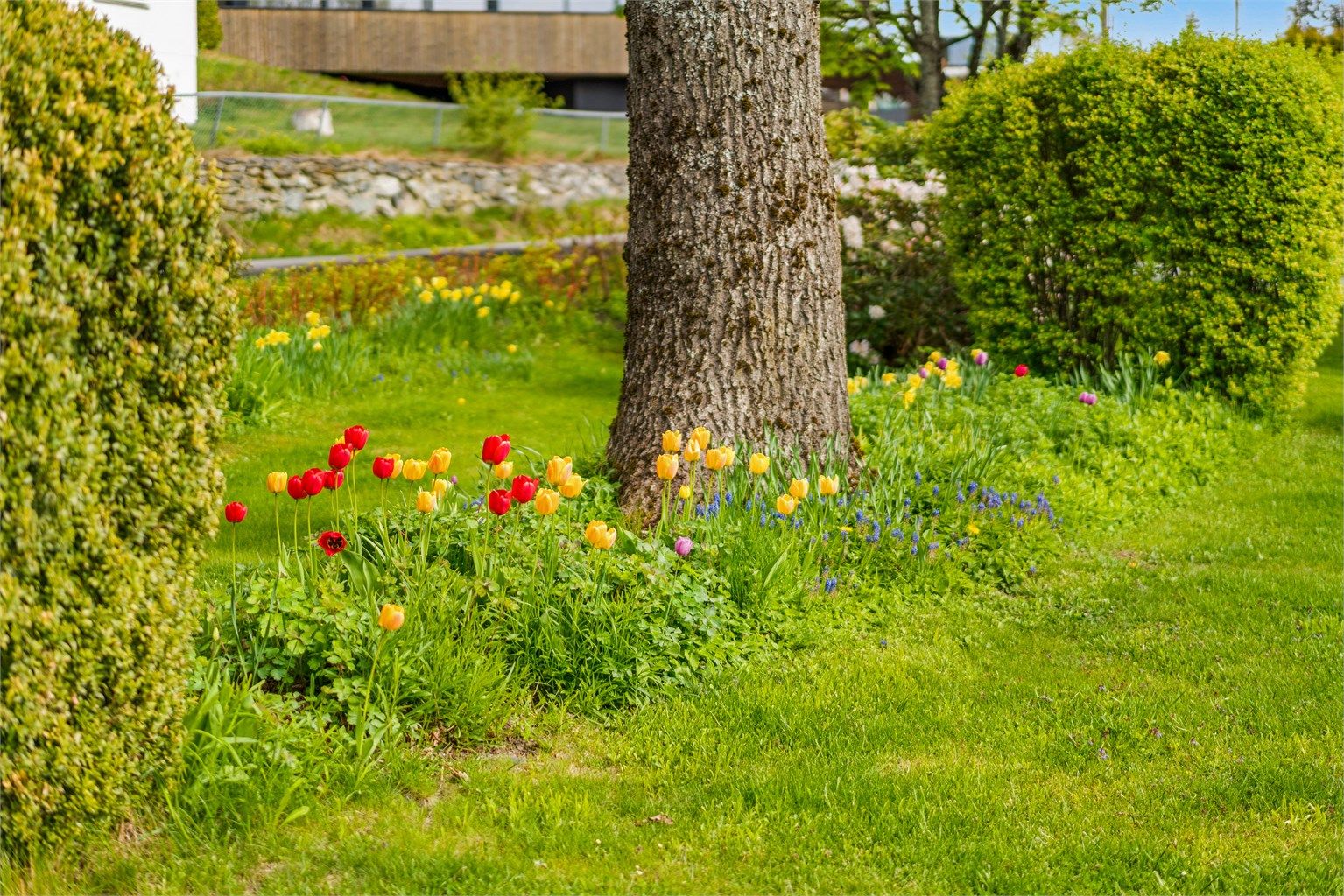 Hagen er opparbeidet med plen, busker og blomsterbed.