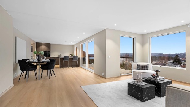 Store vindusflater for optimalt med dagslys