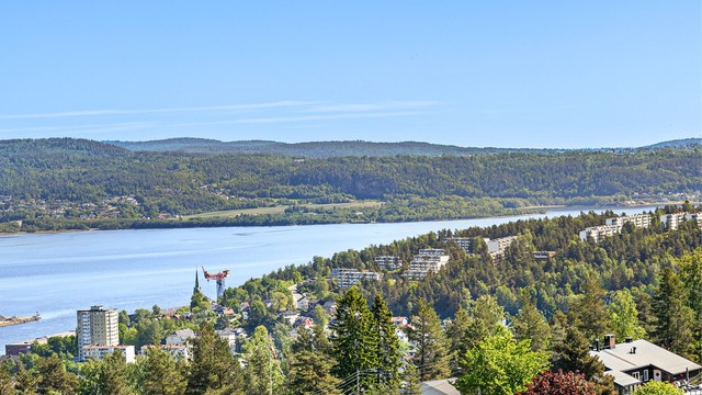 Utsikt - Nærområdet.