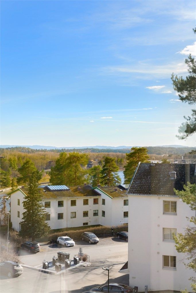 Sameiets tomt er pent opparbeidet med gressplen og diverse beplantning.