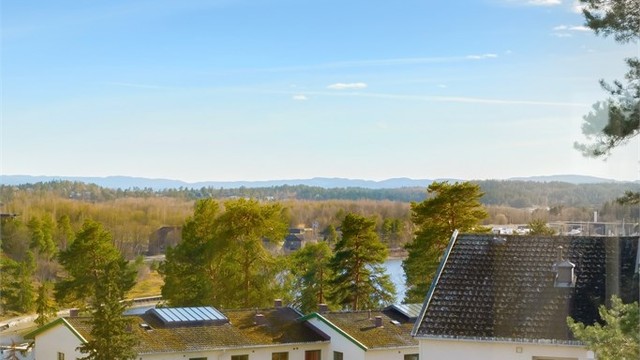 Sameiets tomt er pent opparbeidet med gressplen og diverse beplantning.