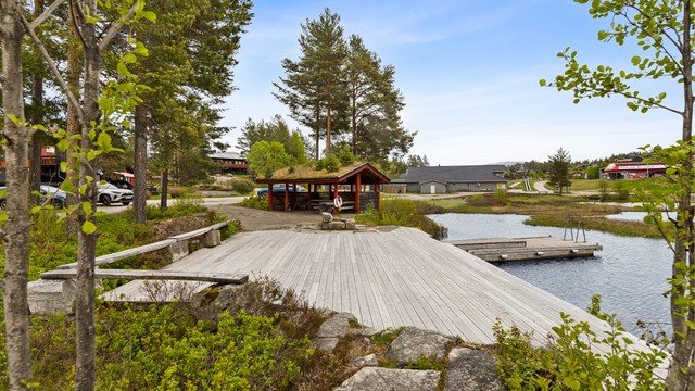 Områdebilde.