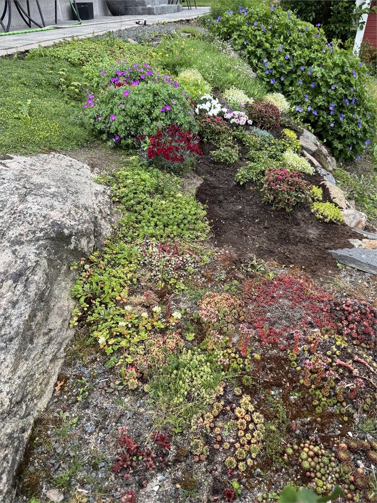 Pent opparbeidet tomt med en blanding av naturtomt og beplantede bed.