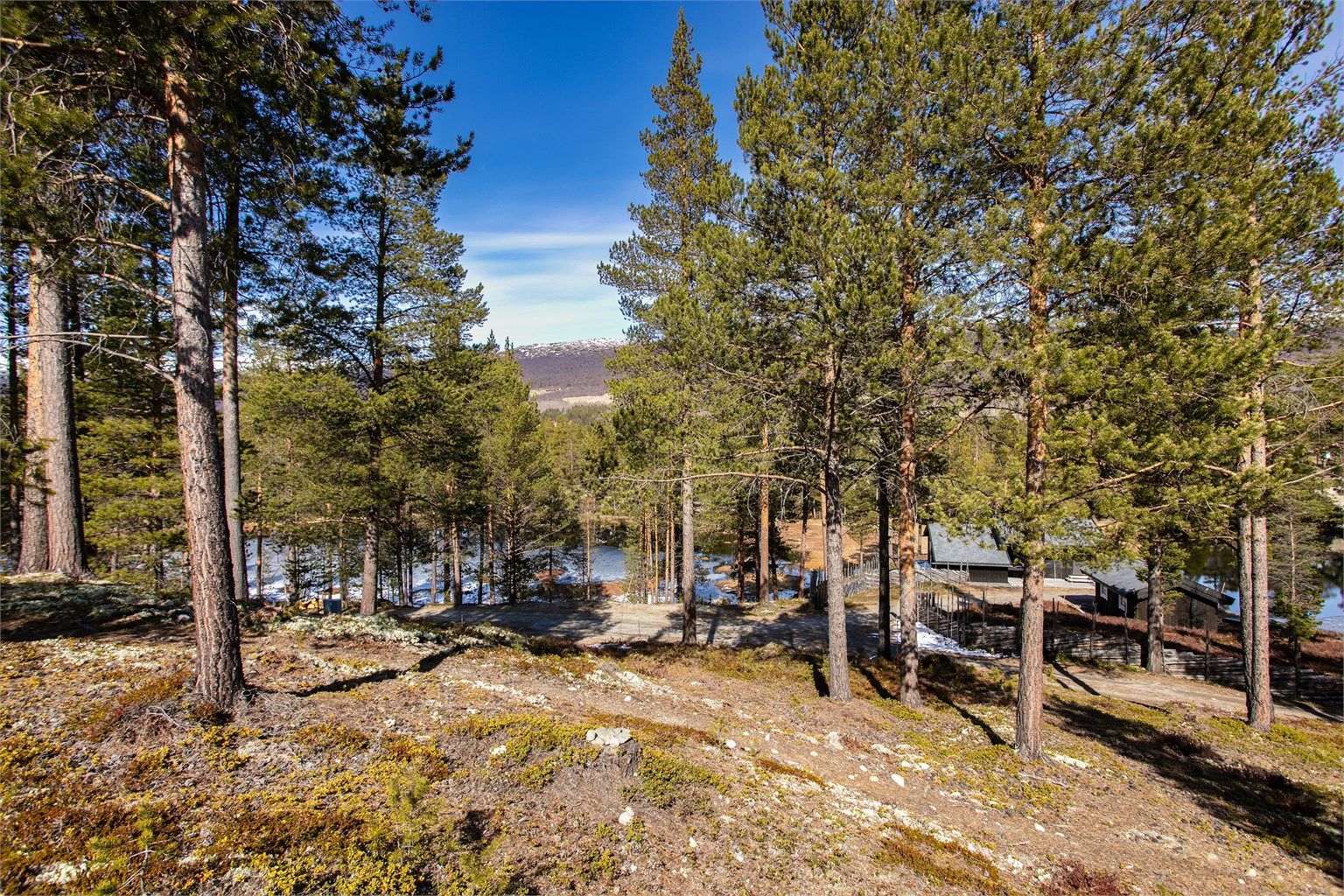 Fra eiendommen er det utsikt ned mot vannet og det omkringliggende landskapet