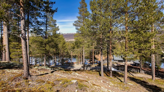 Fra eiendommen er det utsikt ned mot vannet og det omkringliggende landskapet