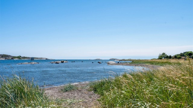 Områdebilde