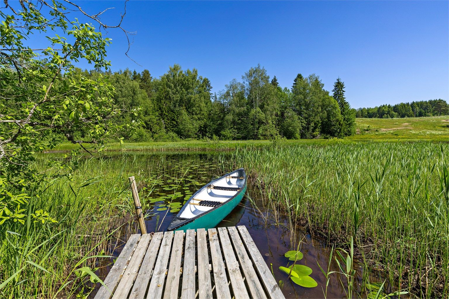 Uteområde