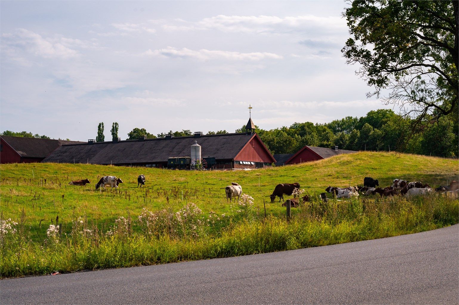 Gå rett ut på turvei og nyt den landlige følelsen av Bygdøy med bading, skogsturer og turløyper samtidig som at det er kort vei til byen.